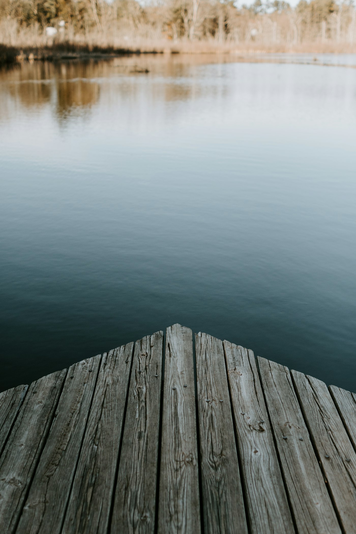 A wooden dock reaching into a calm lake